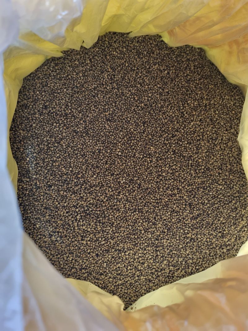 장터 상품 [25년도 햇들깨] 썸네일