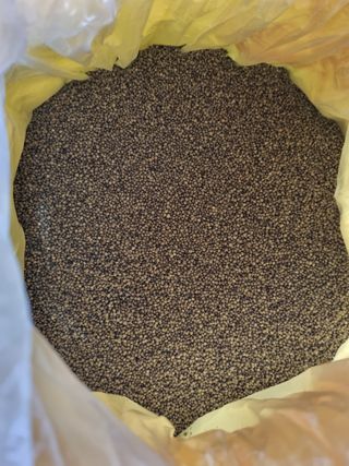 김동희님의 작성글 사진