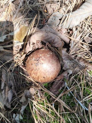 지대식님의 자유주제 · 자유게시판 작성글 사진