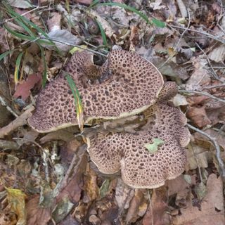 무진장UDT님의 자유주제 · 자유게시판 작성글 사진