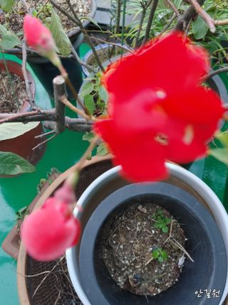 안길원님의 자유주제 · 자유게시판 작성글 사진