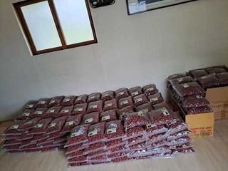 박성기님의 작성글 사진