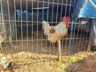 박린님의 자유주제 · 자유게시판 작성글 사진