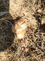 팜모닝 자유주제·자유게시판 게시글 이미지