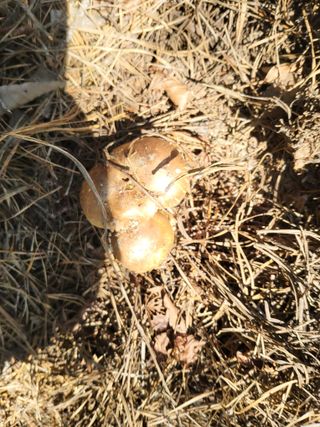 지대식님의 자유주제 · 자유게시판 작성글 사진