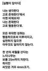 팜모닝 자유주제·자유게시판 게시글 이미지