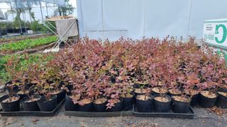 양경호님의 자유주제 · 자유게시판 작성글 사진