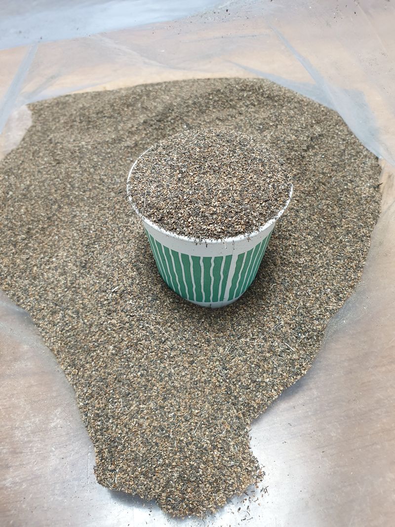 황강순님의 장터 판매 상품 [잔대씨앗] 첨부 사진