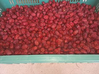 박성기님의 작성글 사진