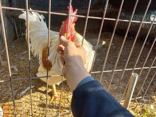 박린님의 자유주제 · 자유게시판 작성글 사진