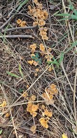 팜모닝 자유주제·자유게시판 게시글 이미지