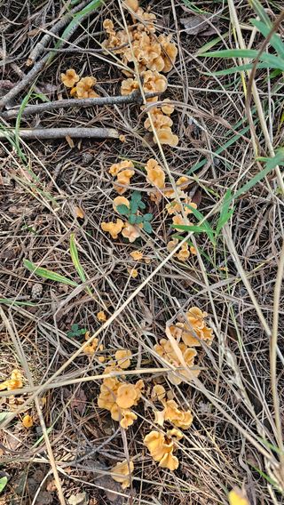 강병천님의 자유주제 · 자유게시판 작성글 사진