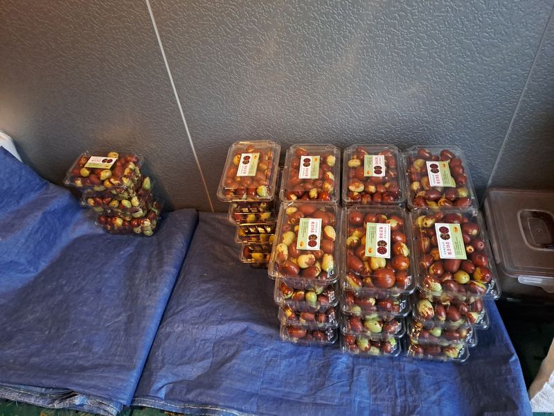 박성기님의 장터 판매 상품 [복조건대추1kg] 첨부 사진