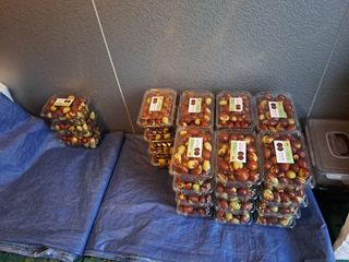 박성기님의 작성글 사진