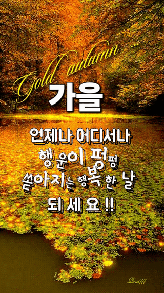 김희숙님의 작성글 사진