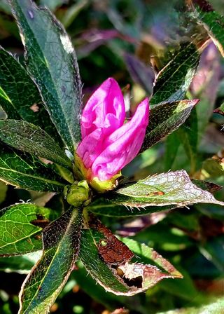 안길원님의 자유주제 · 자유게시판 작성글 사진