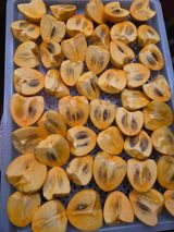 팜모닝 자유주제·자유게시판 게시글 이미지