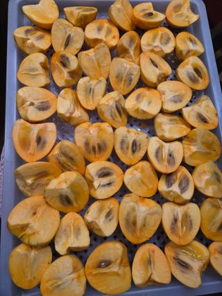 논산상월안정환님의 자유주제 · 자유게시판 작성글 사진