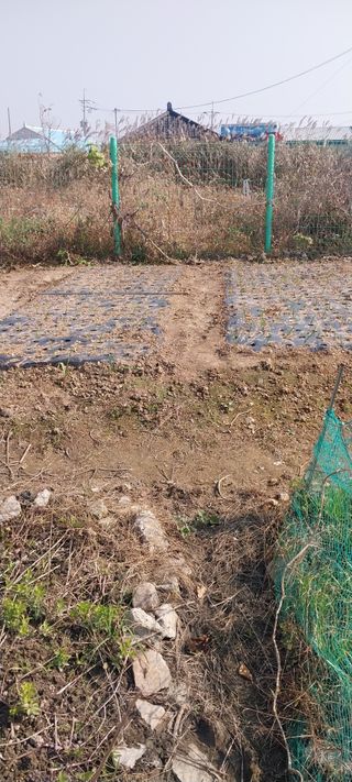 주말 텃밭 농부님의 자유주제 · 자유게시판 작성글 사진