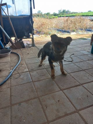 박린님의 자유주제 · 자유게시판 작성글 사진