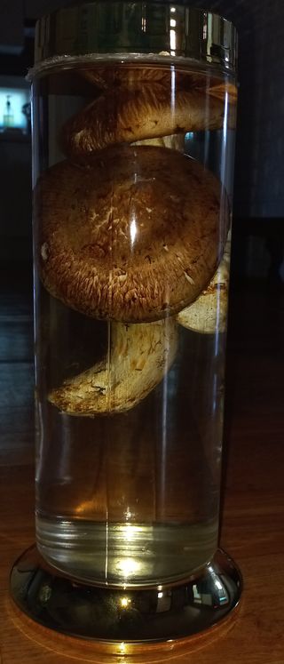 무진장UDT님의 자유주제 · 자유게시판 작성글 사진