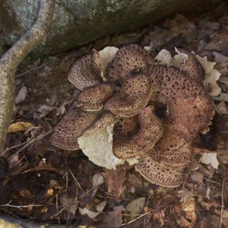 무진장UDT님의 자유주제 · 자유게시판 작성글 사진