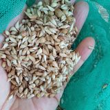 팜모닝 · 게시글 이미지