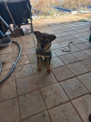 박린님의 자유주제 · 자유게시판 작성글 사진