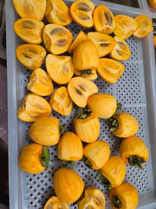 논산상월안정환님의 자유주제 · 자유게시판 작성글 사진