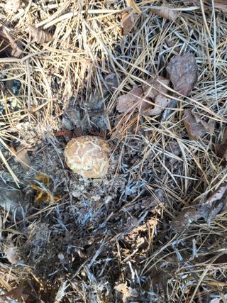 지대식님의 자유주제 · 자유게시판 작성글 사진