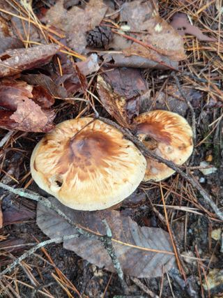 논산상월안정환님의 자유주제 · 자유게시판 작성글 사진