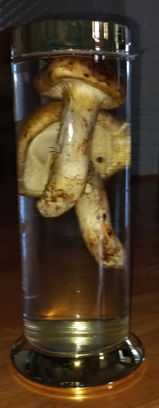 무진장UDT님의 자유주제 · 자유게시판 작성글 사진