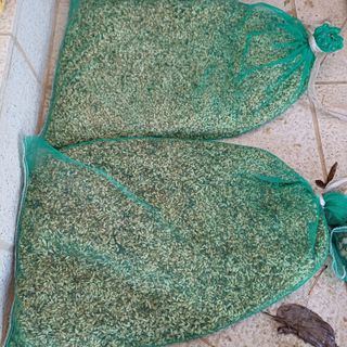 삼성농산님의 작성글 사진