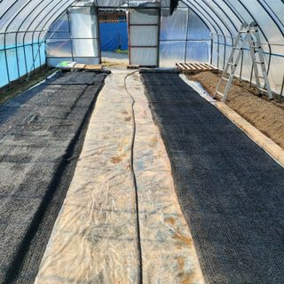 홍순원님의 작성글 사진