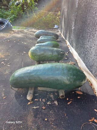 박기식 님의 자유주제 · 자유게시판 작성글 사진