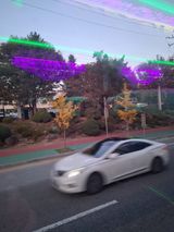 팜모닝 자유주제·자유게시판 게시글 이미지