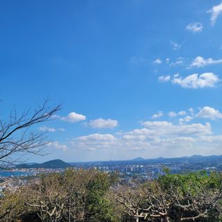 서귀포달코롬감귤농원님의 자유주제 · 사진전 작성글 사진