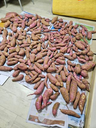 이정자님의 자유주제 · 자유게시판 작성글 사진