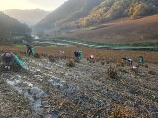 송경희님의 자유주제 · 자유게시판 작성글 사진
