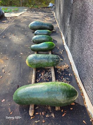 박기식 님의 자유주제 · 자유게시판 작성글 사진