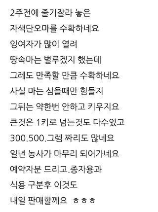 삼성농산님의 자유주제 · 자유게시판 작성글 사진