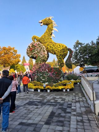 MSG0074님의 자유주제 · 자유게시판 작성글 사진