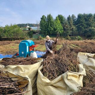 홍순원님의 작성글 사진