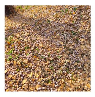 정찬영님의 작성글 사진