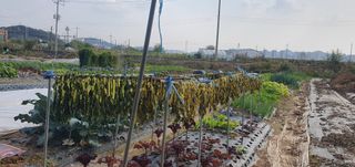 김익중님의 자유주제 · 자유게시판 작성글 사진