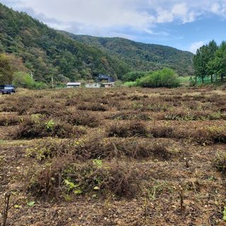 홍순원님의 작성글 사진