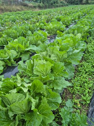 이정민님의 자유주제 · 자유게시판 작성글 사진