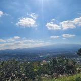 팜모닝 자유주제·사진전 게시글 이미지