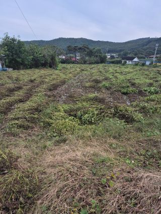 이정민님의 자유주제 · 자유게시판 작성글 사진