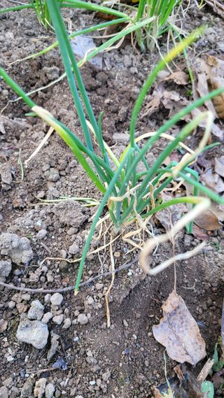 최병서님의 자유주제 · 자유게시판 작성글 사진